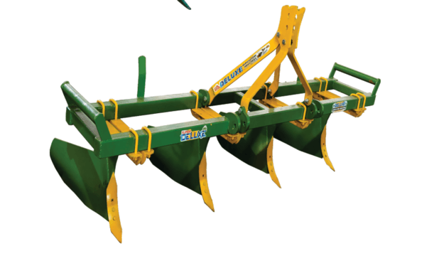 RIDGER GOLD MODEL